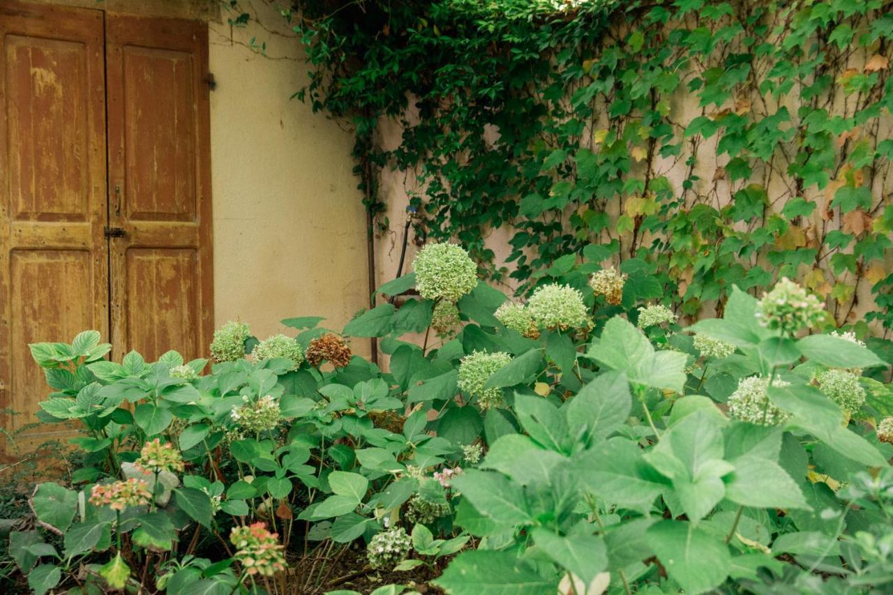 Casale Hortensia Reggio Emilia Luaran gambar