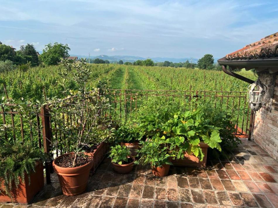 Casale Hortensia Reggio Emilia Luaran gambar